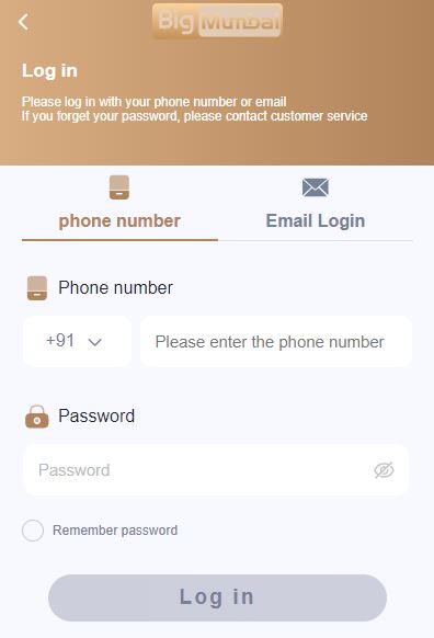 big mumbai login -enter the registered mobile number
